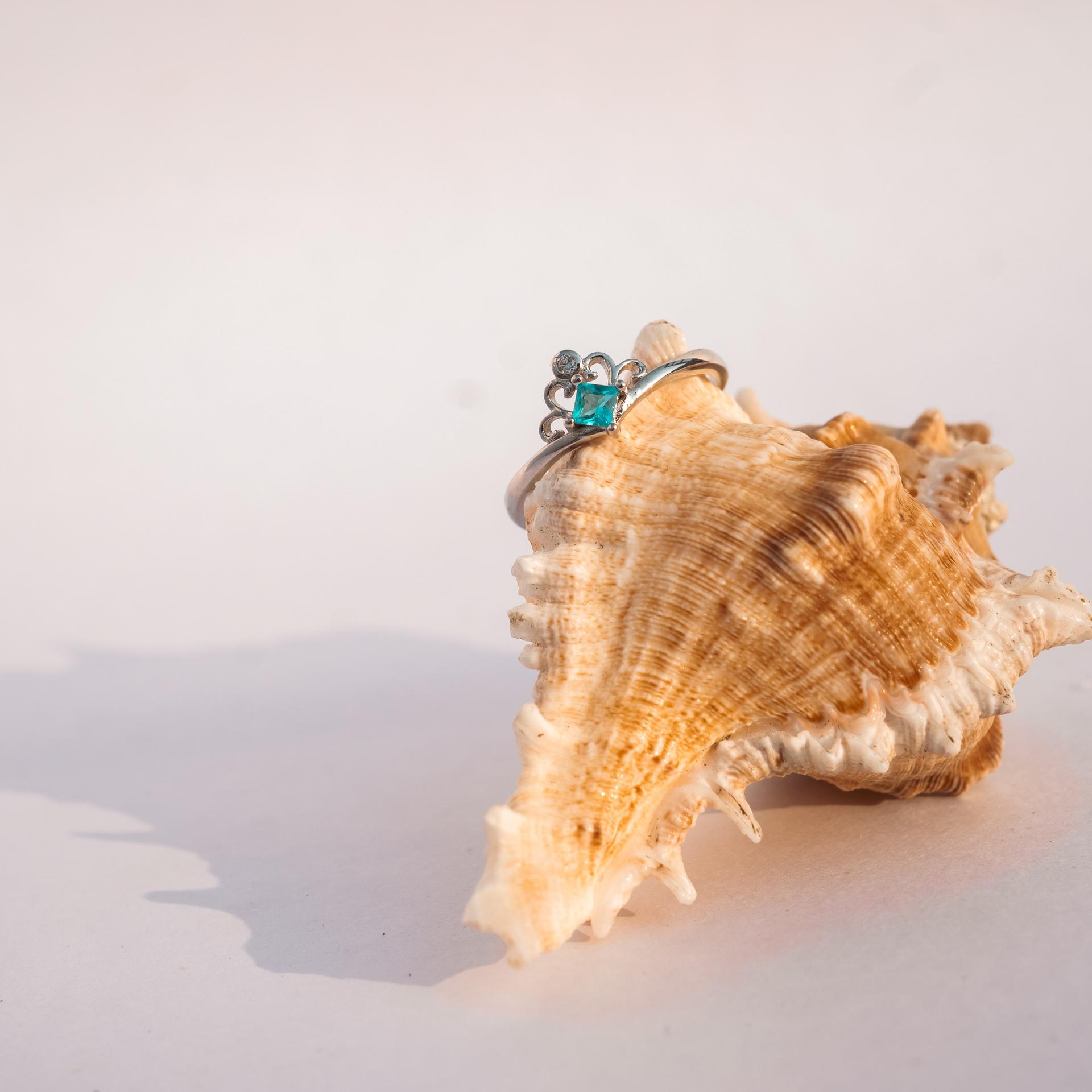 925 Sterling Silver Majestic Blue Crown Jewellery Ring - Image 3